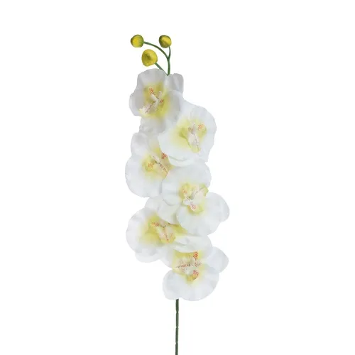 Orchidea – vetvička 63 cm K367